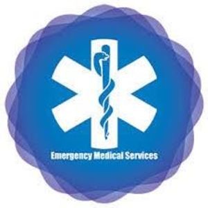 Meet your Posher, Roy